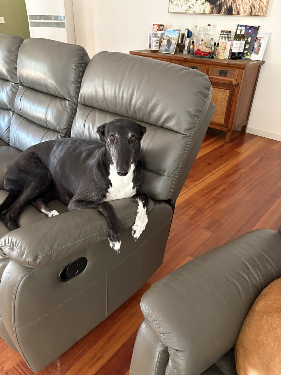 Peita Duncan tweet media