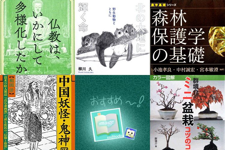Sci佇 Bookends 📚 tweet media
