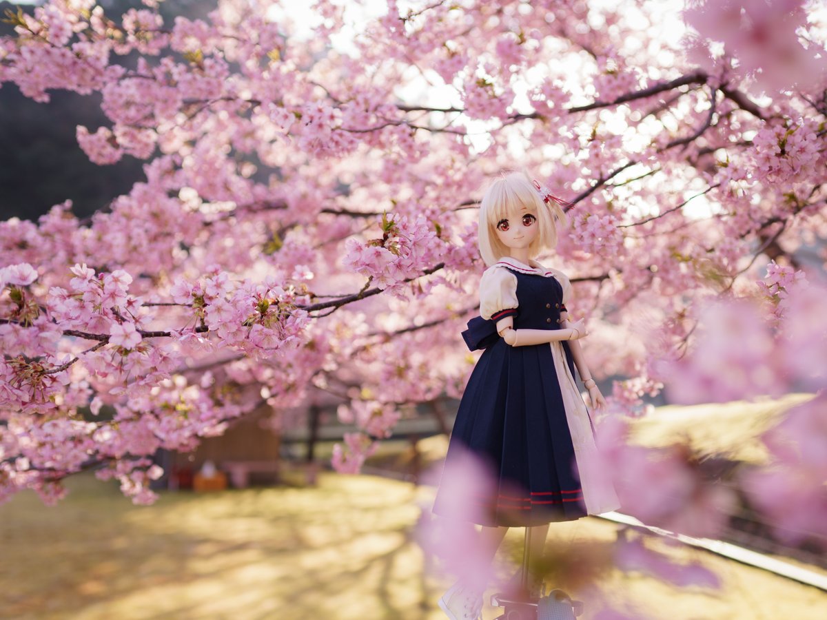 ①24mm ②70mm ③120mm ④300mm