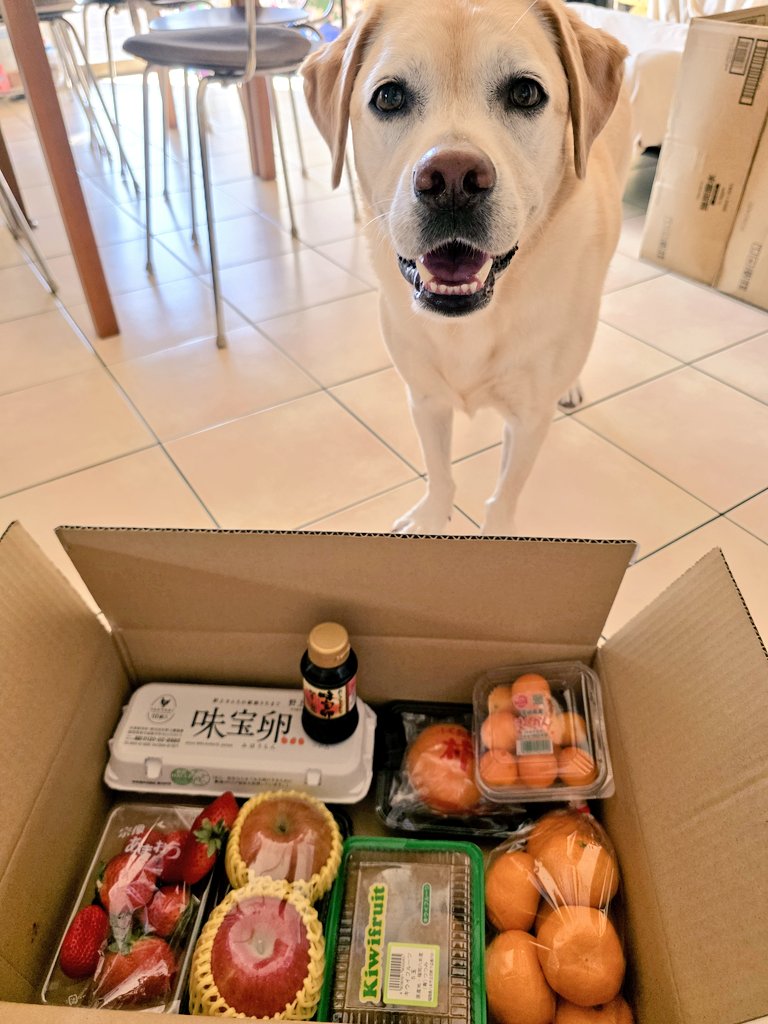 らんちゃんのお姉ちゃんママ～✨ @Betty20200825 いつもありがとうワン