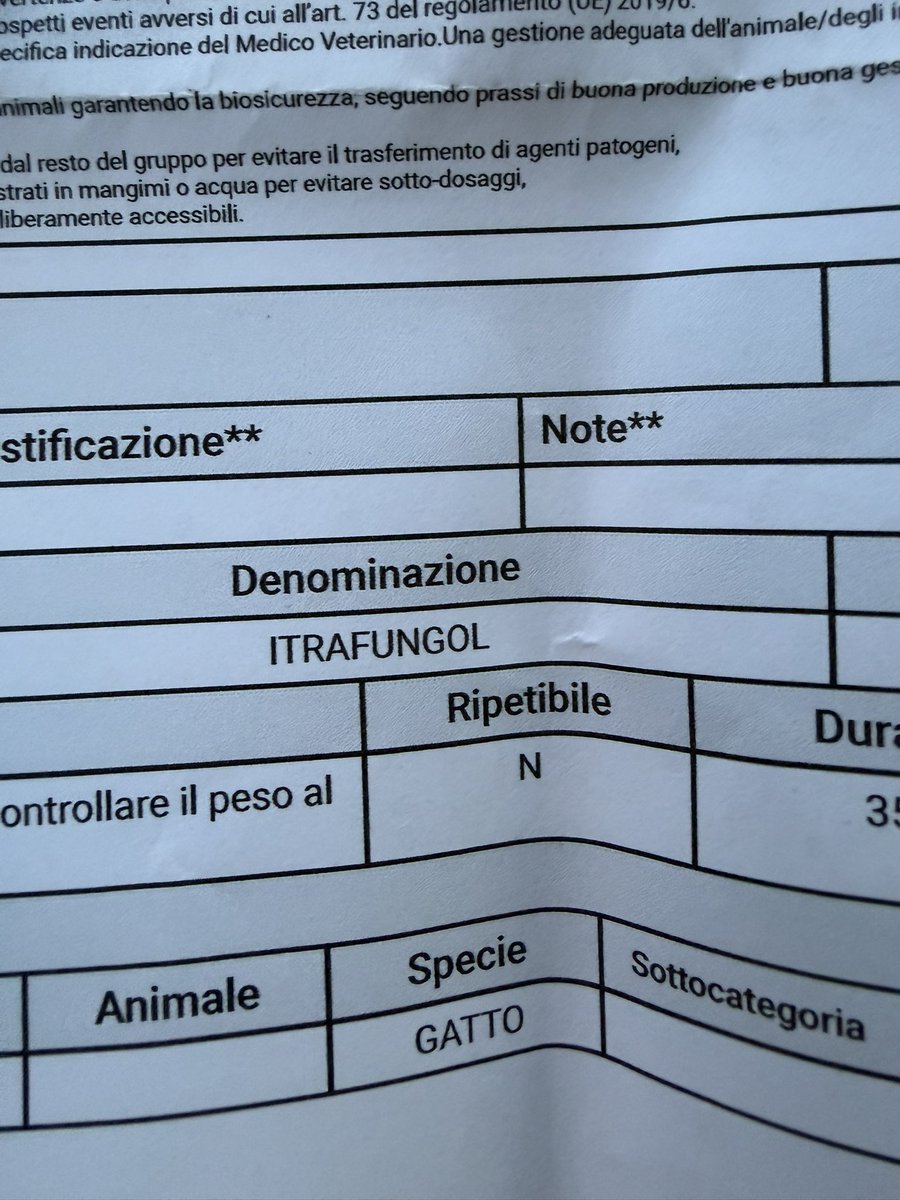 amici_da's tweet image. E' stato trovato un cucciolo in strada..chi l'ha recuperato lo ha portato dalla veterinaria sperando l'aiutasse a cercare una casa ma non è stato così..ha gli acari e deve prendere uno sciroppo che costa circa 70€..ha contattato me perché non può tenerlo ne' comprare il farmaco