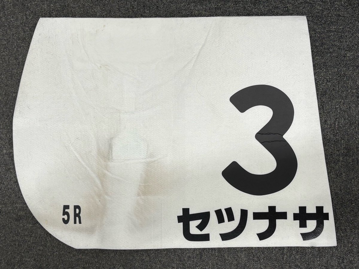 【セツナサ】牡3
12/13 中山5R 2歳新馬（3着）🥉
レースゼッケンをプレゼントします！！
一生に一度のデビュー戦🔰
＜応募方法＞
（１）アカウントをフォロー 
（２）本投稿をリポスト
〆切は2026年1月23日23:59
※当選者にはDMでご連絡します🎊
#サートゥルナーリア #ホロロジスト #ノーザンファーム