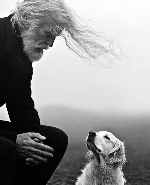 "Avec  le temps, tu apprendras à retenir ta langue, à ne pas réagir à chaque  mot ou chaque geste qui te déplaît. Tu comprendras alors qu’il vaut  mieux se retirer, éviter ces lieux ou ces personnes qui te mettent mal à  l’aise. Et c’est ainsi que tu commenceras à protéger ta