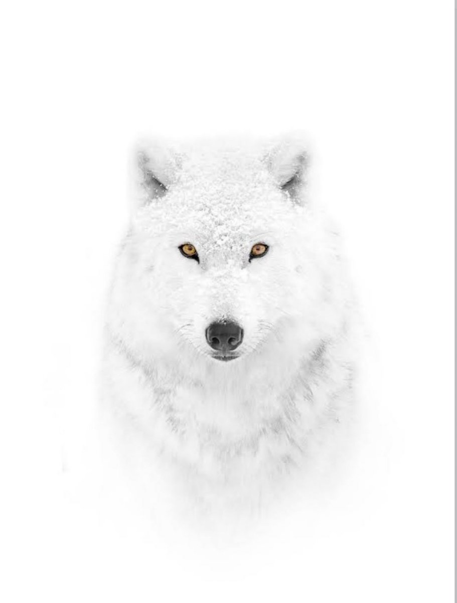 "Solitude isn't lonely when you're your own company"