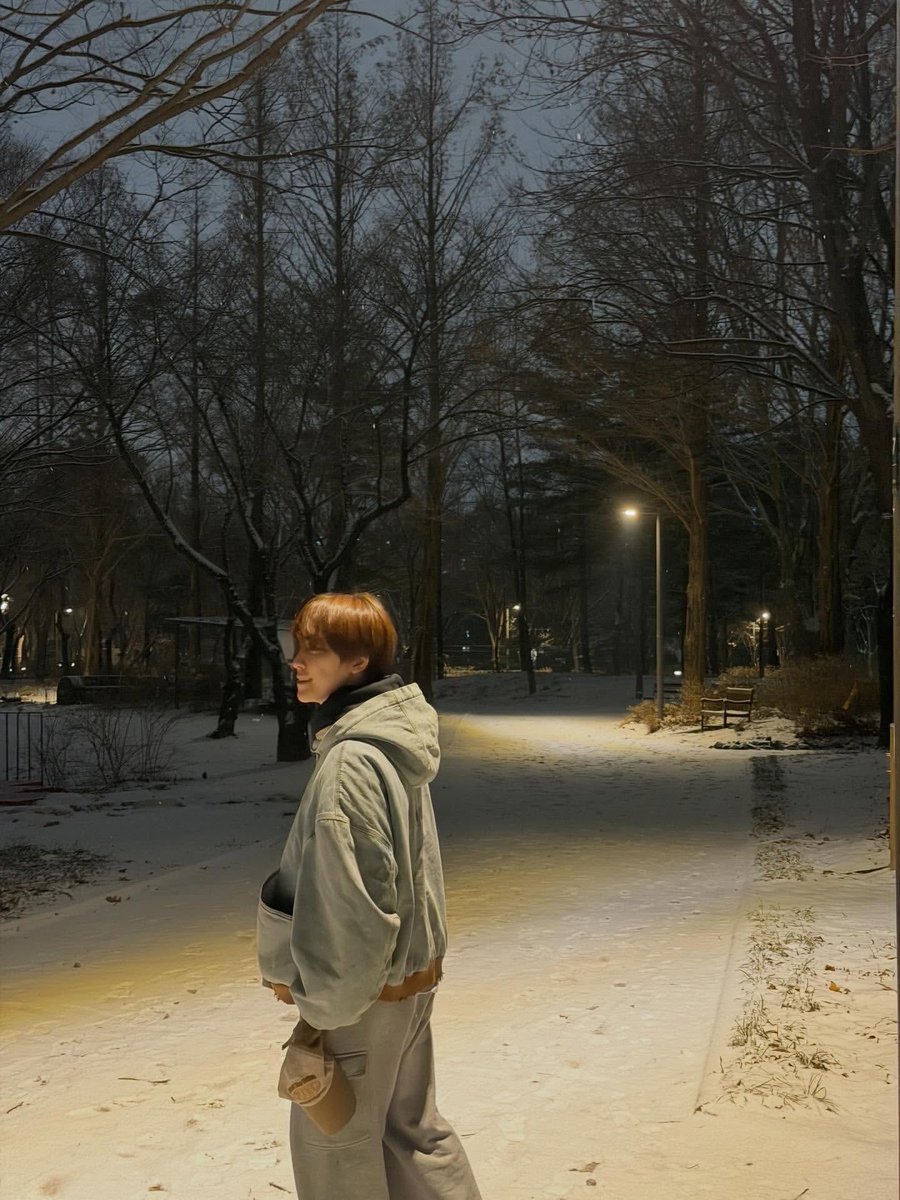 sounds_of_cheol's tweet image. feat.dino ❄️