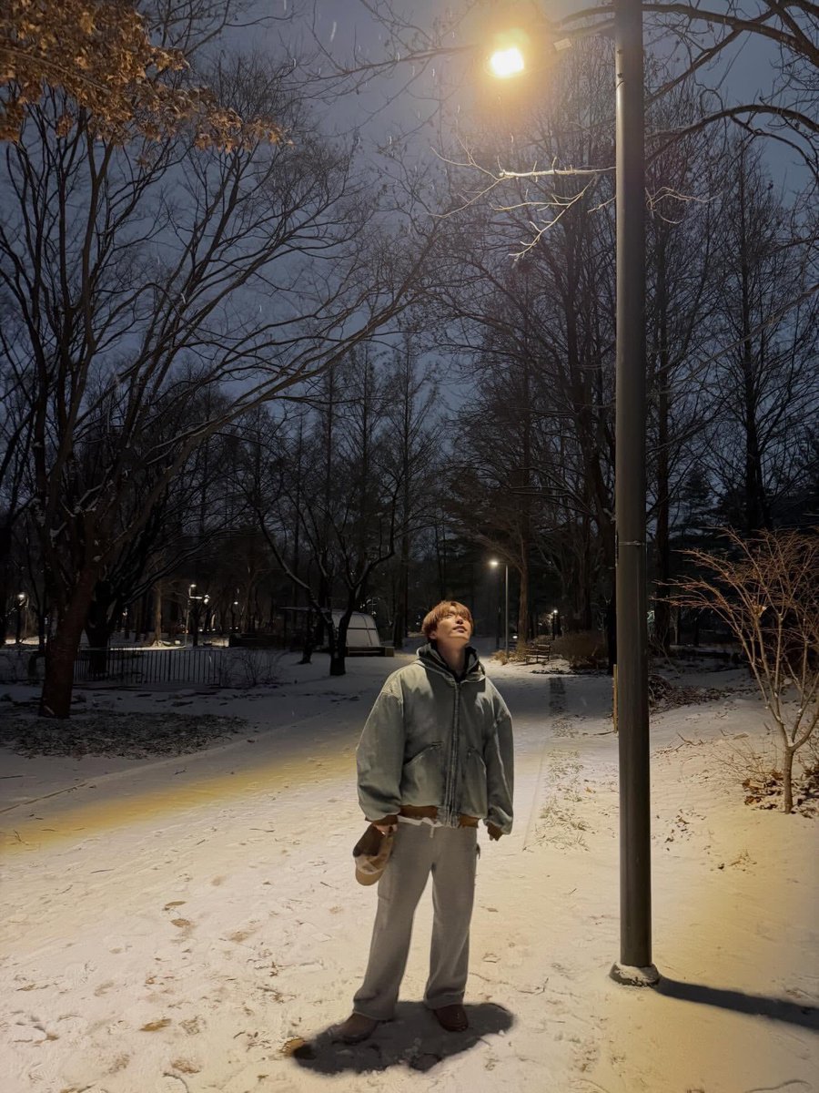 sounds_of_cheol's tweet image. feat.dino ❄️