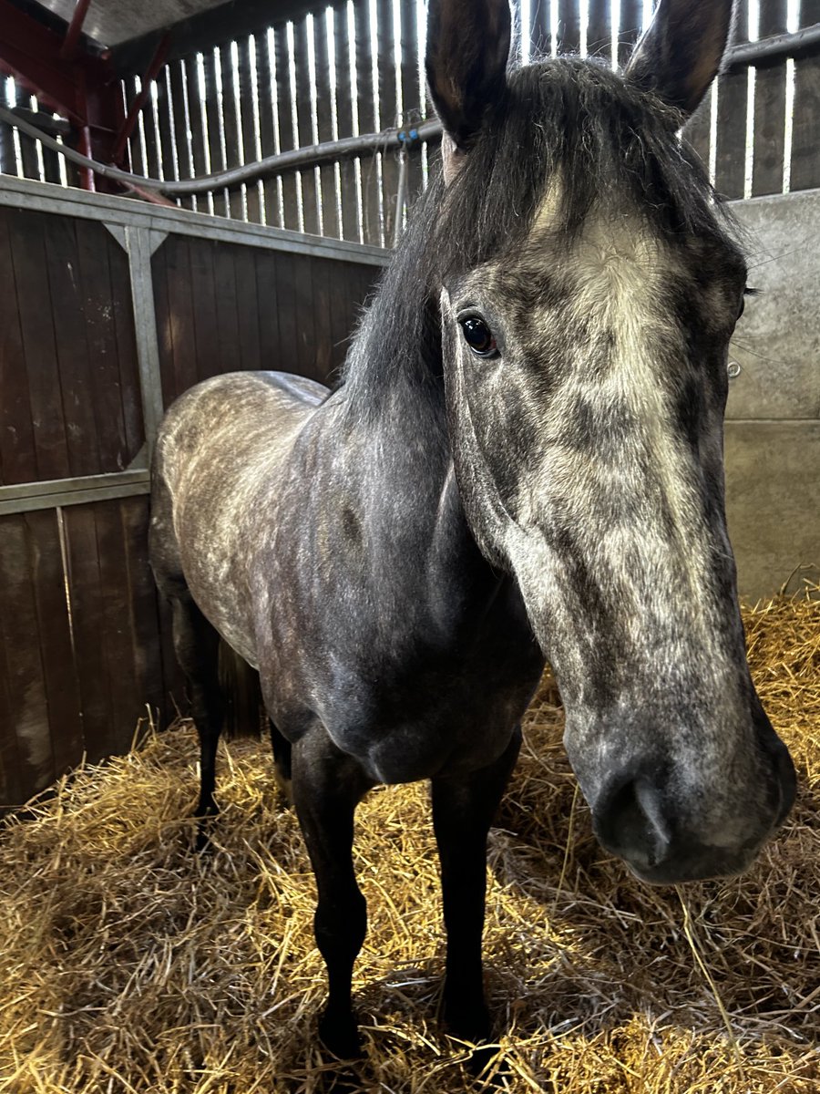 Martyn MacLeod tweet media