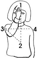 amalia (@amaliasalud) on Twitter photo 