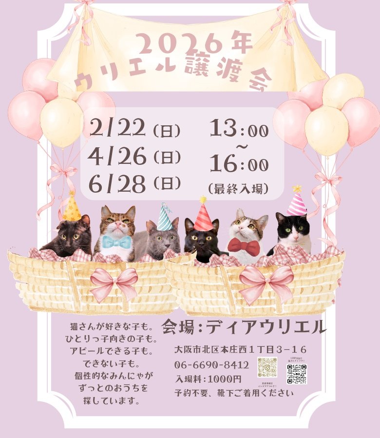 ウリエル里親募集 tweet media