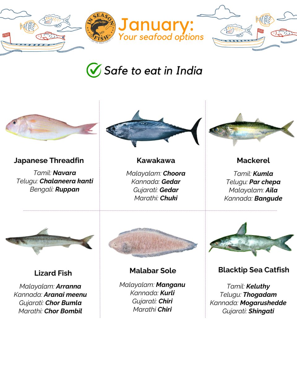 InSeason Fish tweet media