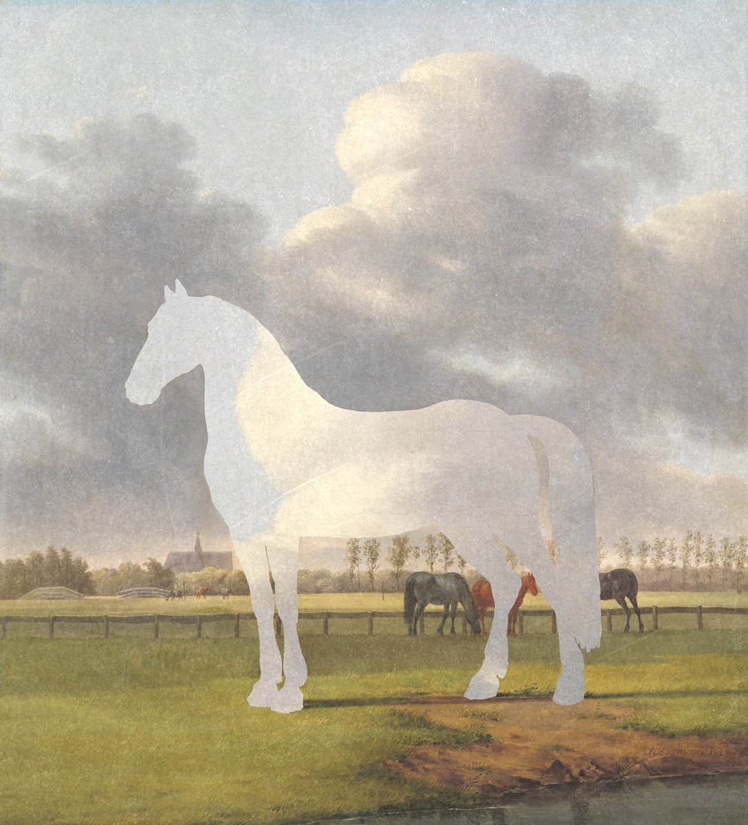 enigmatriz's tweet image. 