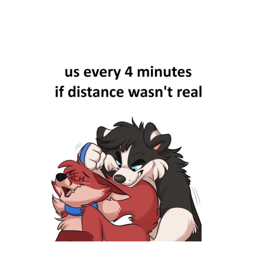 Dexter_Collie's tweet image. Is it too much to ask 🥹🥹🥹