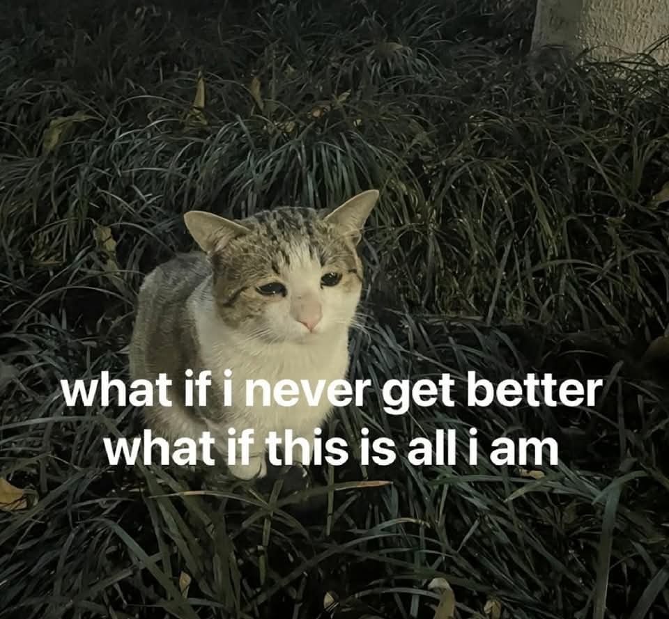 itswords_'s tweet image. 