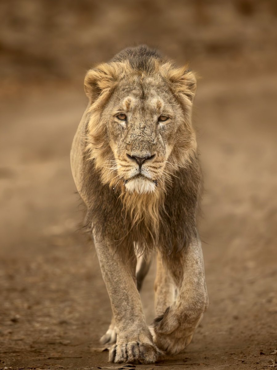 Dr. Brijesh Makadia tweet media