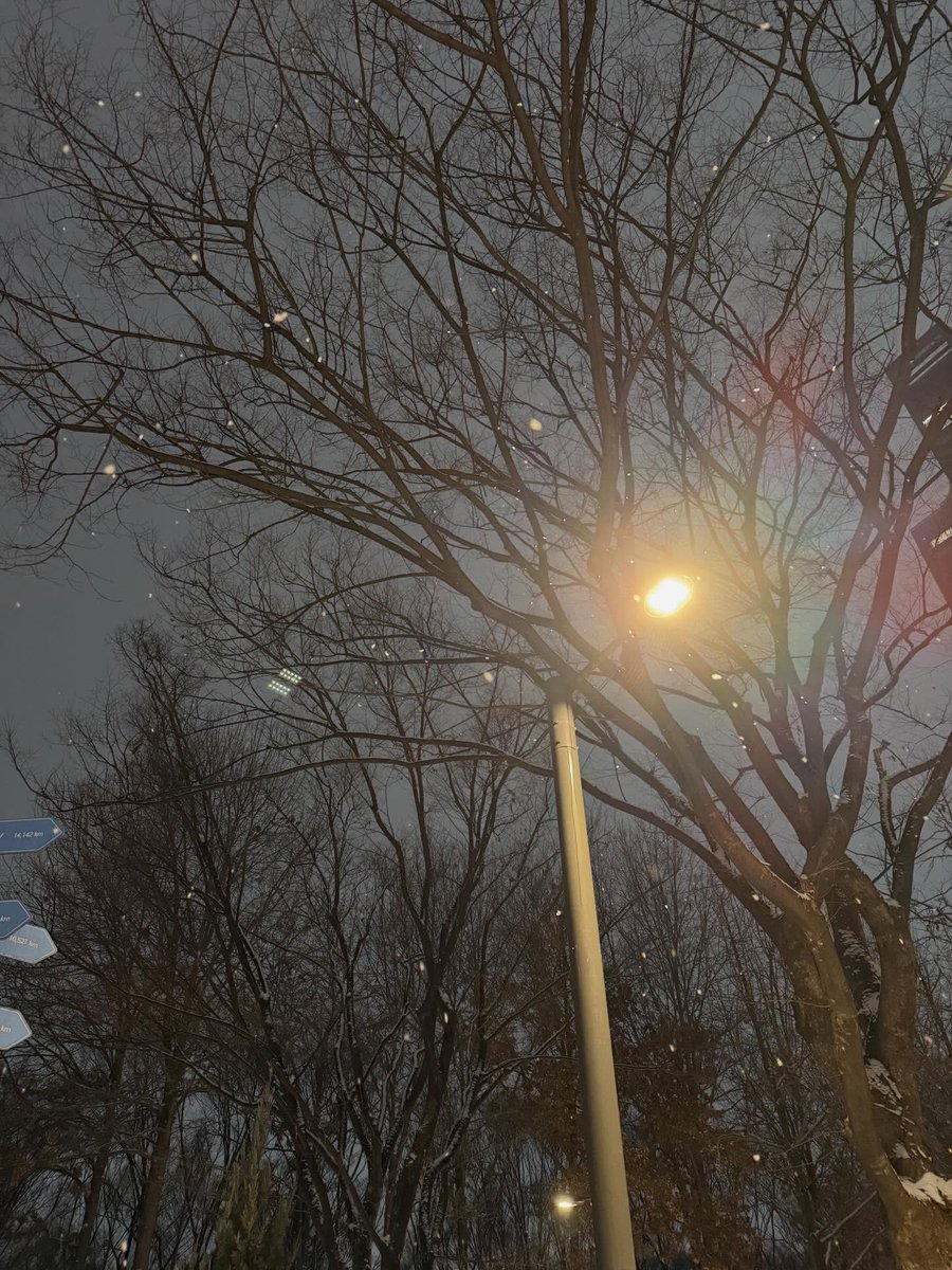 dinocarrd's tweet image. 260113 feat.dino instagram 📸 post! #디노 #DINO