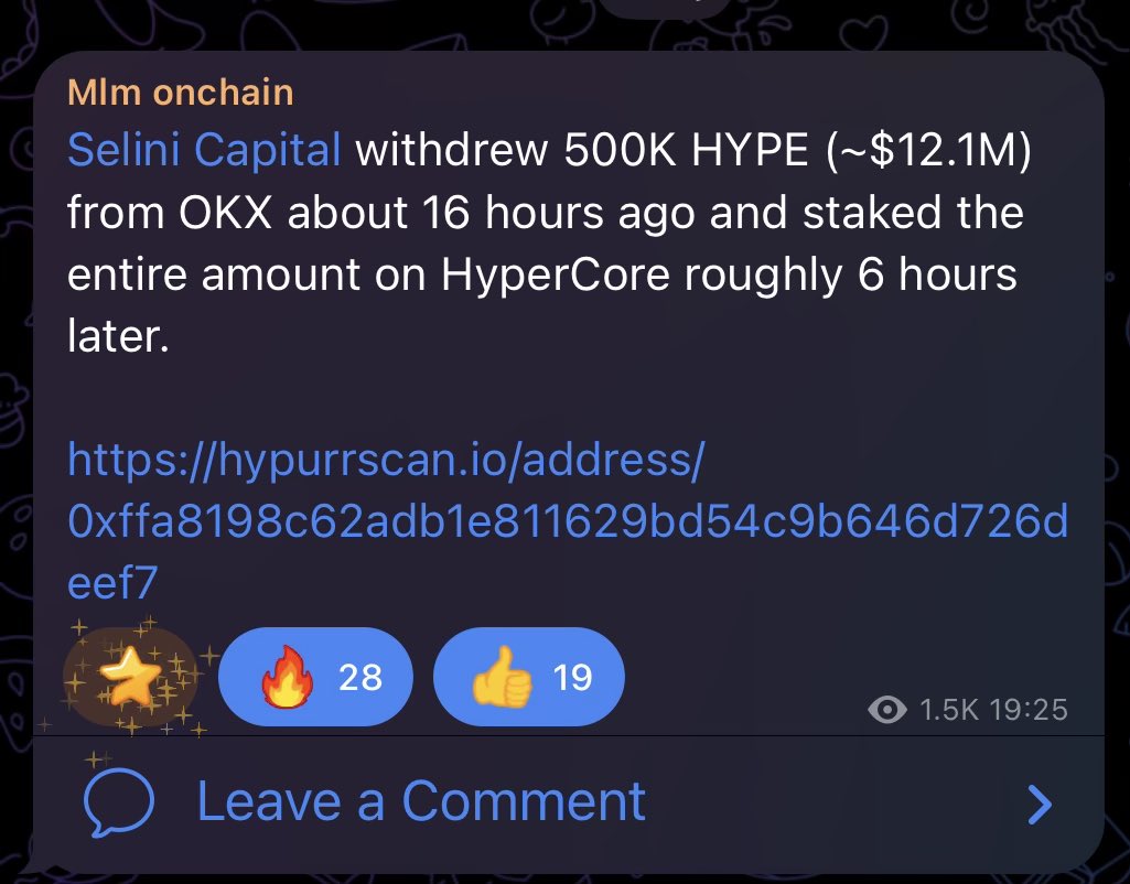 Selini staking that amount of $HYPE 👀 What could it mean. Hyperliquid