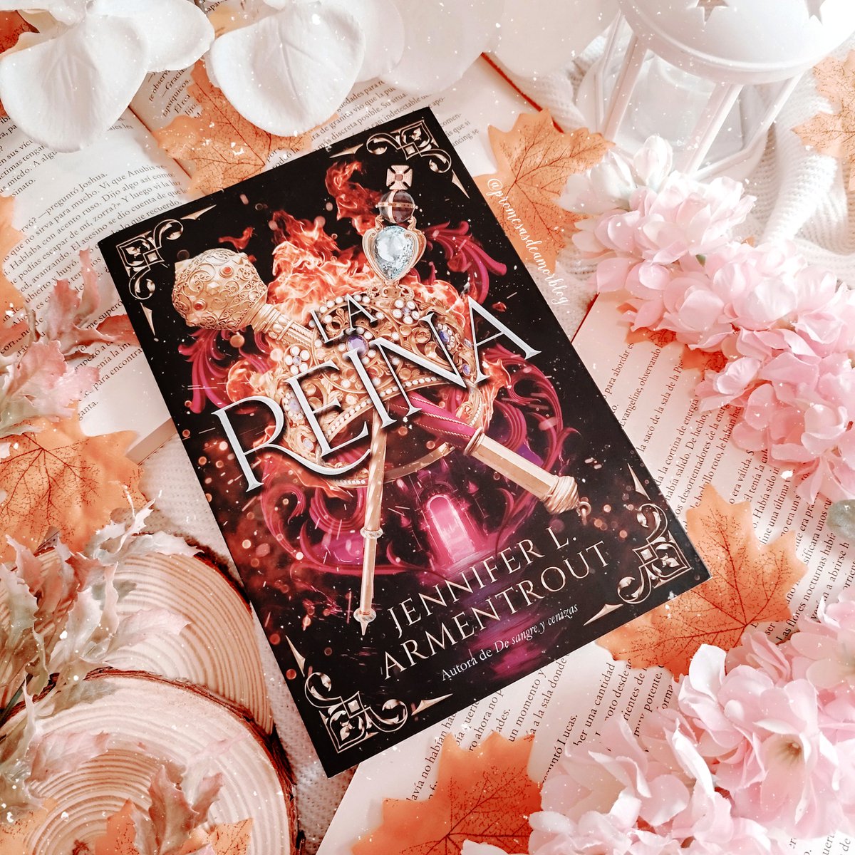 ᑭᖇⵔᗰᗴᔕᗩᔕ ᗪᗴ ᗩᗰⵔᖇ ❤️ tweet media