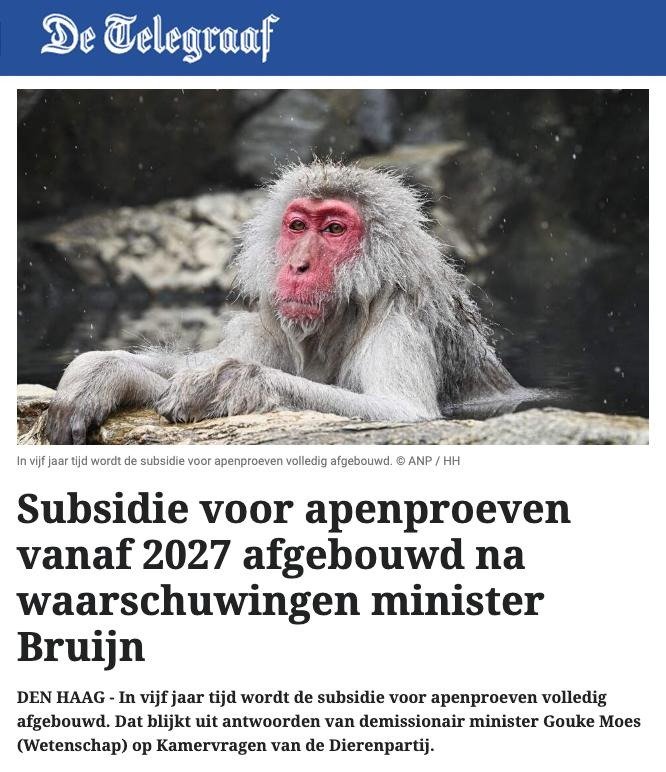 Subsidie voor apenproeven stopt per 2030.

Met dank aan Partij voor de Dieren #PvdD