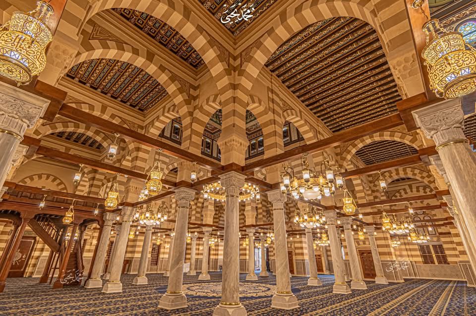 علي الجفري tweet media