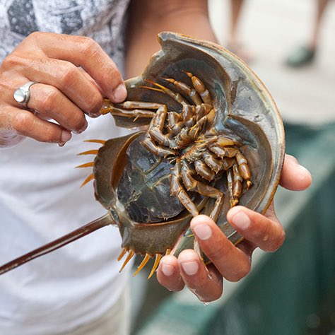 Cultination tweet media