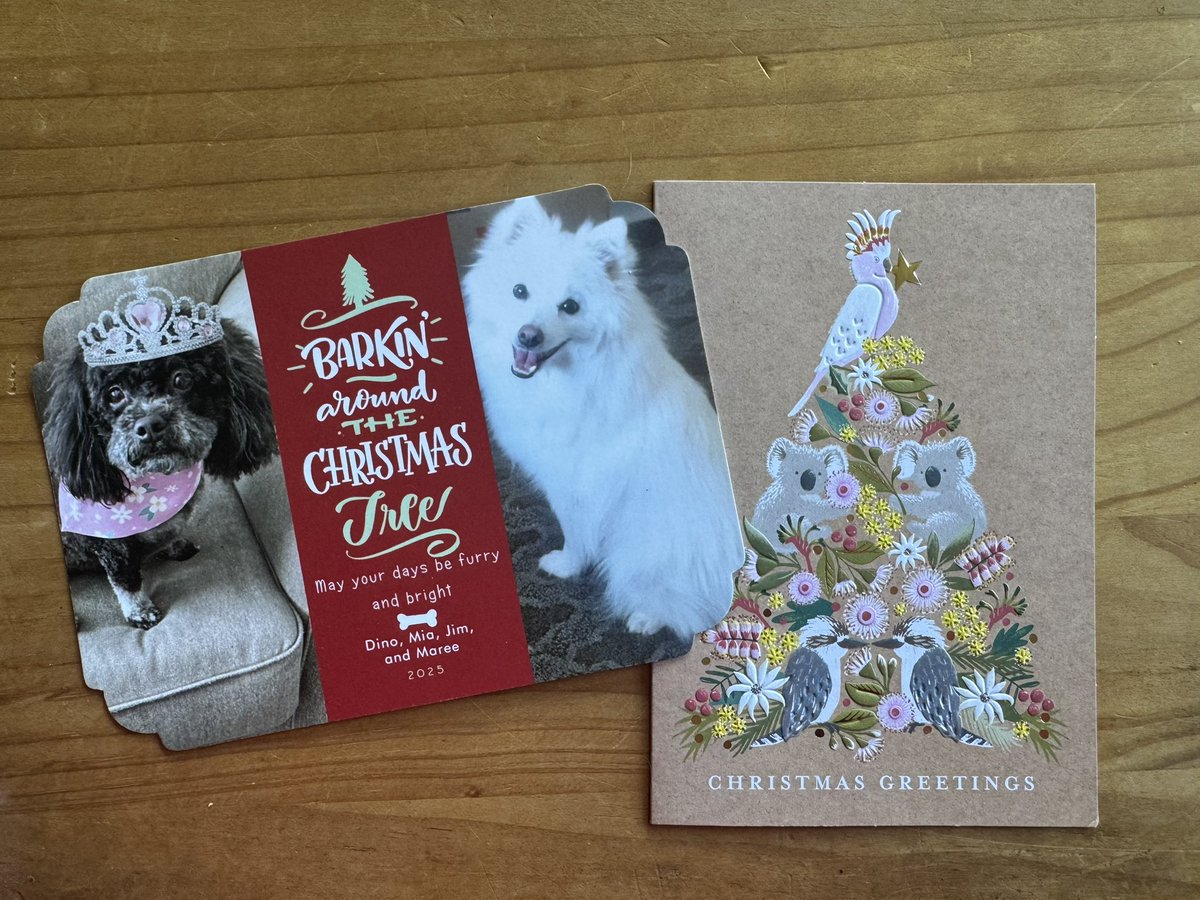 It’s the Christmas that keeps on giving 🎄 Cards have arrived from Dino&amp;Mia <a href="/dogdaysinitaly/">Dino (dogdaysinitaly) and Mia</a> and Nicolas <a href="/NicolasFallsmy1/">Nicolas Fallsmyth - (RIP Veronica dear friend🌹)</a> 
Thanks pals, we love you 💞