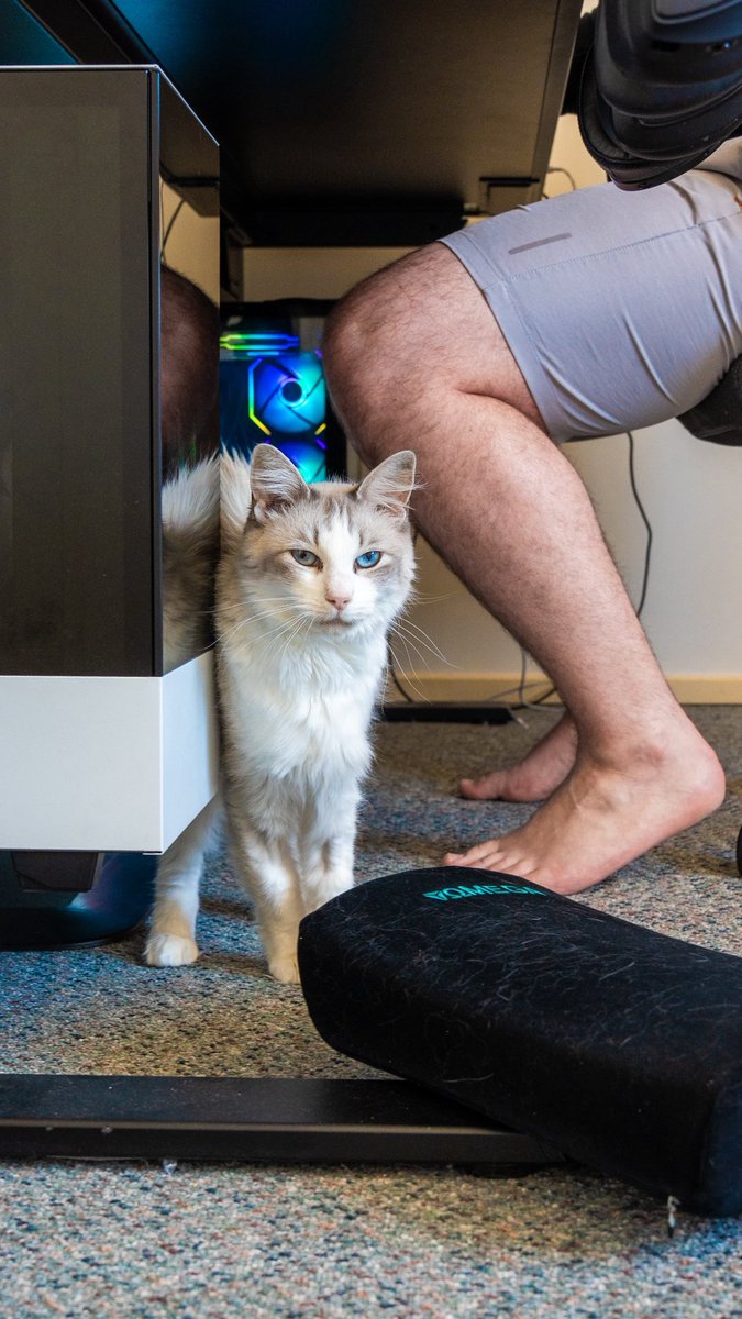 Logan | LHP64D tweet media