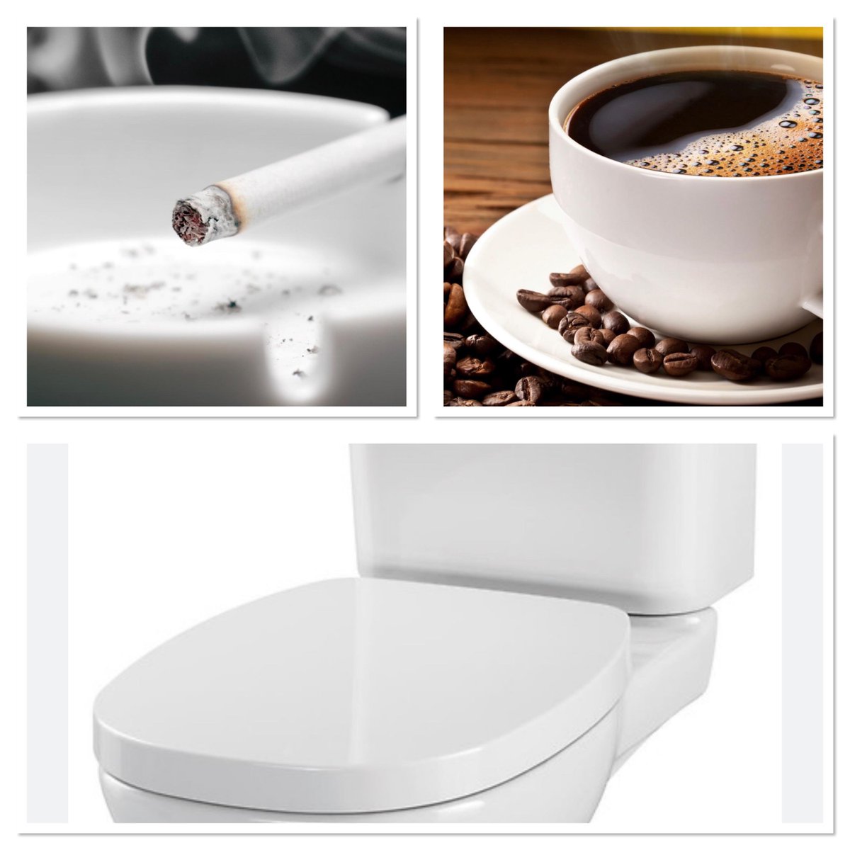 MadsPosting's tweet image. my big three