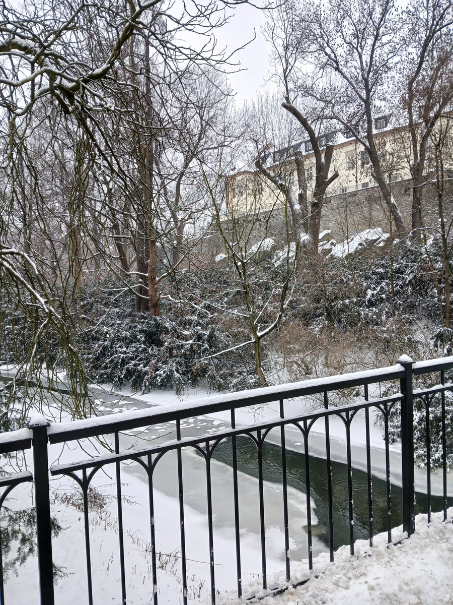 Cosmique Slav 🦢 tweet media