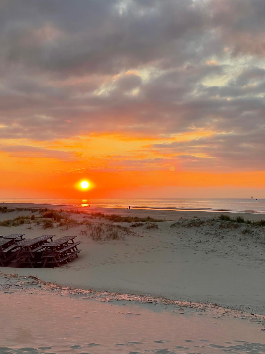 boevrie's tweet photo. #weekendje #midweek naar #Vlieland #appartement Simmersinne in Eureka is nu te boeken #lastminute #wadden #Friesland https://t.co/IR50iWoGiB