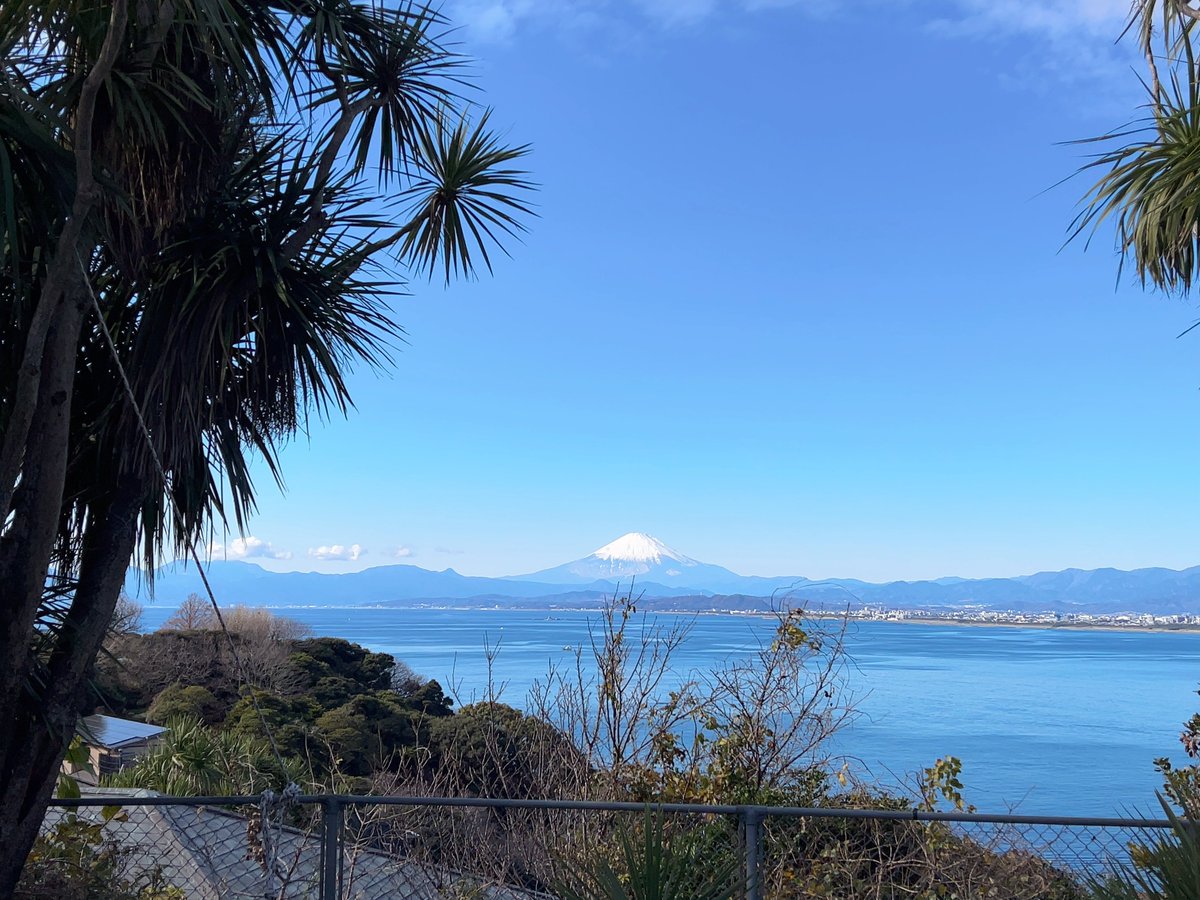 梅木🎣 tweet media