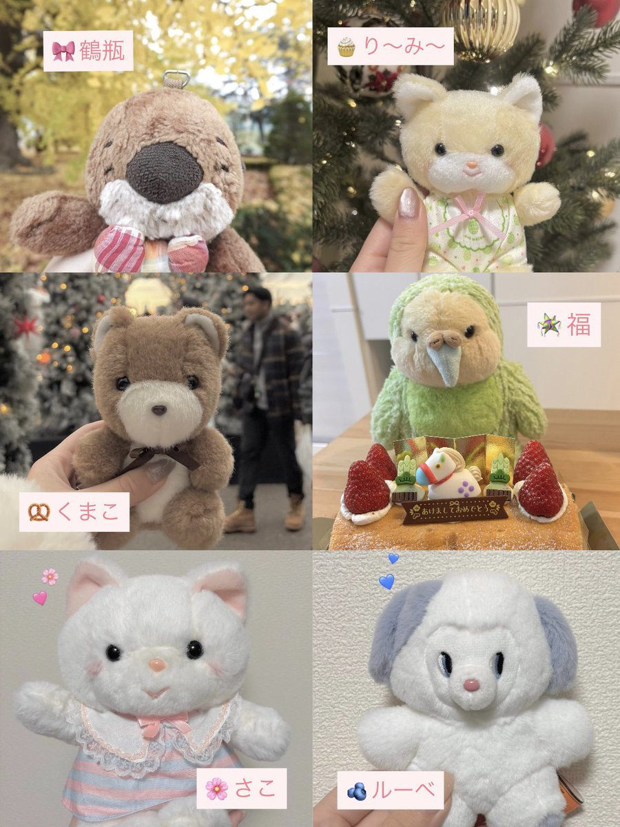 まろまろふぁみり〜 tweet media