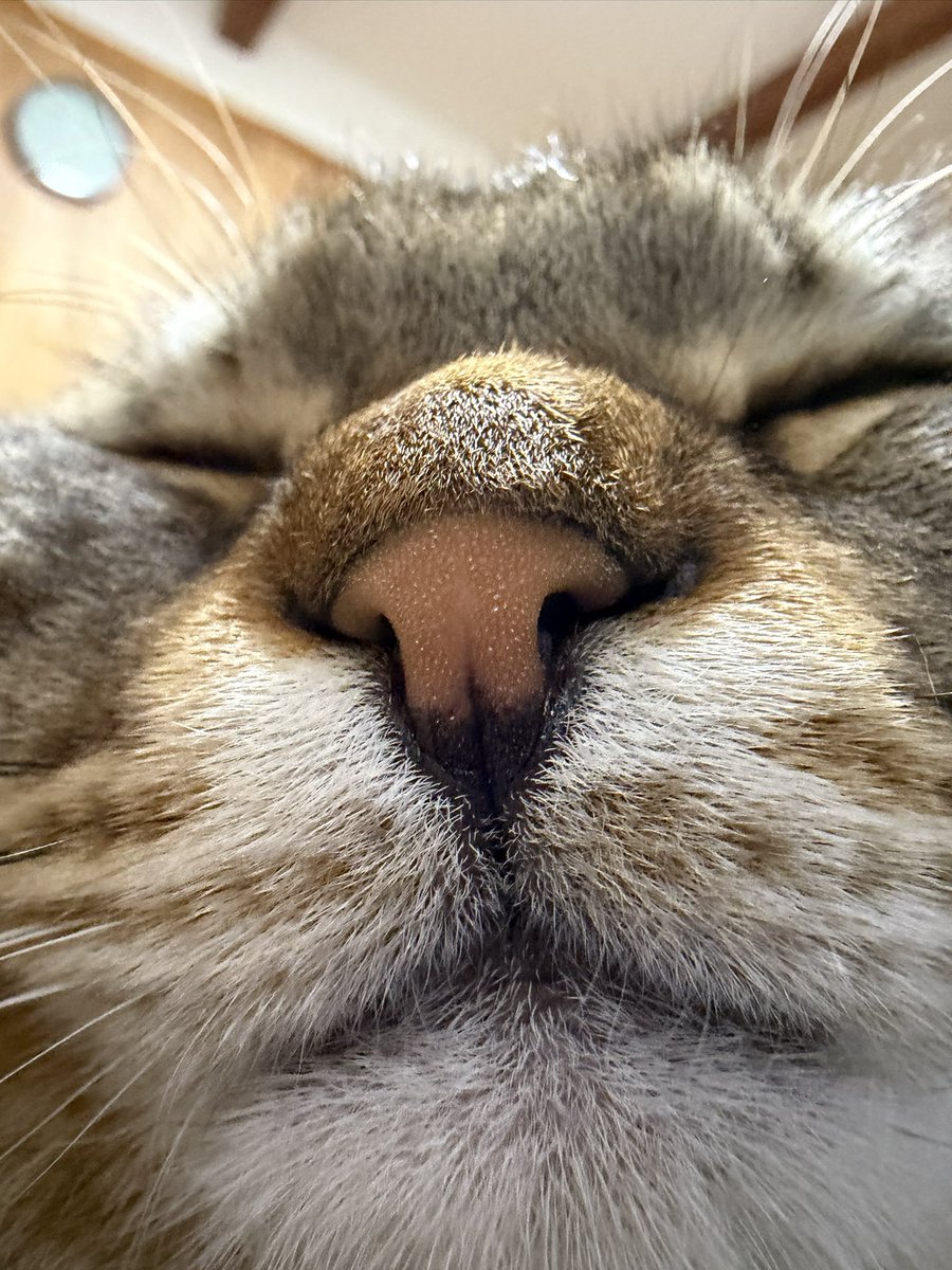 よんぴる山口 (@topgunder1980) / Posts / X