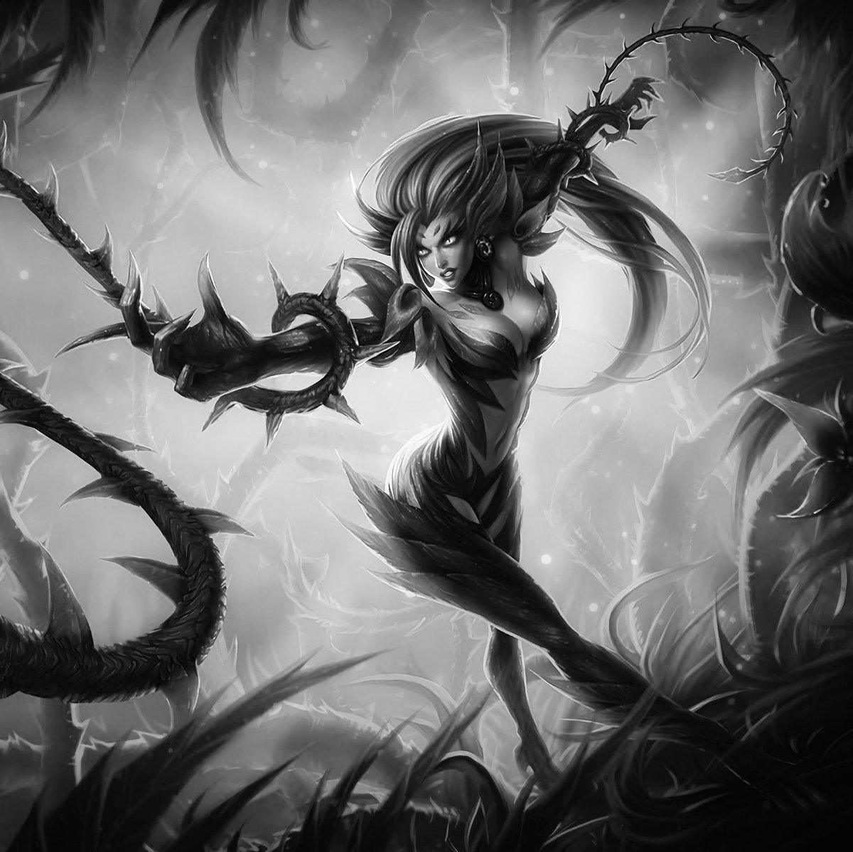 zyracervo's tweet image. 