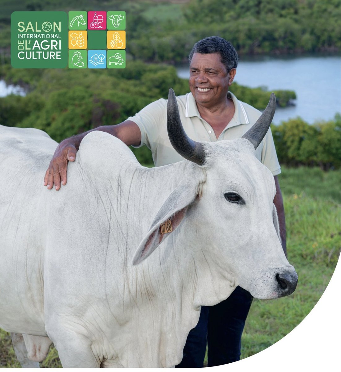 outremers360's tweet photo. 🔴Salon de l'#Agriculture 2026 (#SIA2026) : Une édition sans la vache #martiniquaise «#Biguine» et sans #bovins, mais maintenue par solidarité
➡️https://t.co/VTrOY9WbCY
➡️ Le Salon International de l'Agriculture 2026 se tiendra bien du 21 février au 1er mars à Paris Expo Porte de Versailles, mais sans la vache égérie, la vache martiniquaise Biguine et sans aucun bovin. C'est une première dans l'histoire du Salon international de l'agriculture.