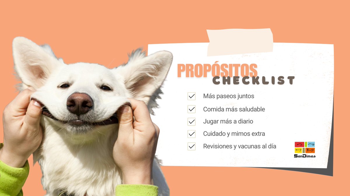 Empieza el año bien 🐕✨: cada día es una oportunidad para fortalecer tu vínculo con tu perro, llenarlo de cariño y disfrutar de aventuras juntos.

Y qué mejor que con estos propósitos ⬇️ + los mejores productos: 🔗 prosandimas.net/catalogo/02 

#sandimas #añonuevo #nuevasmetas
