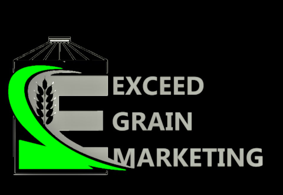 The albatross hanging over the CND 🇨🇦 canola market. 

MAGA morphing into AF 

sasktoday.ca/agriculture/us…