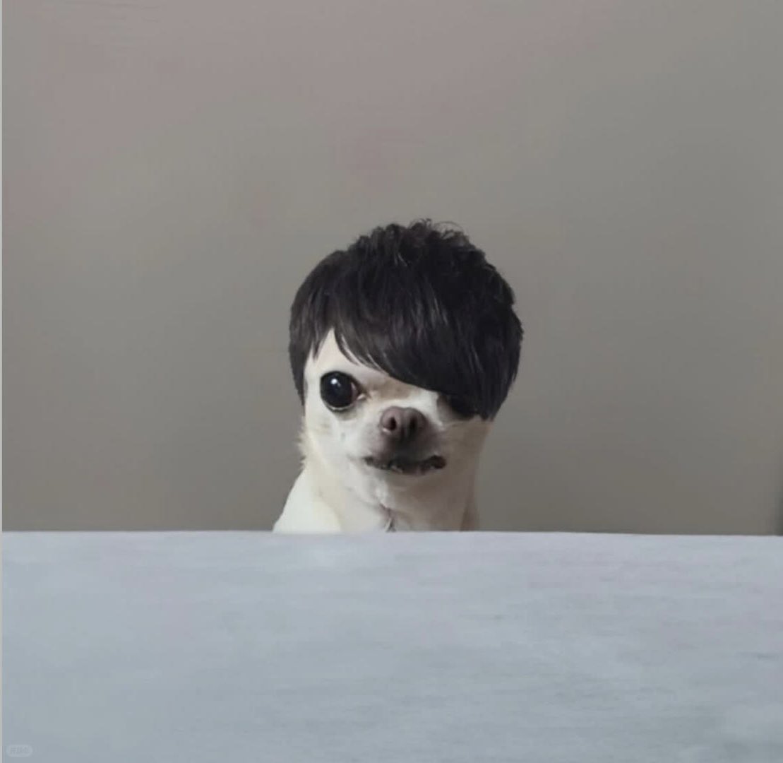 D_214_S2's tweet image. ㄱㄴ웃겨서 눈물나•••