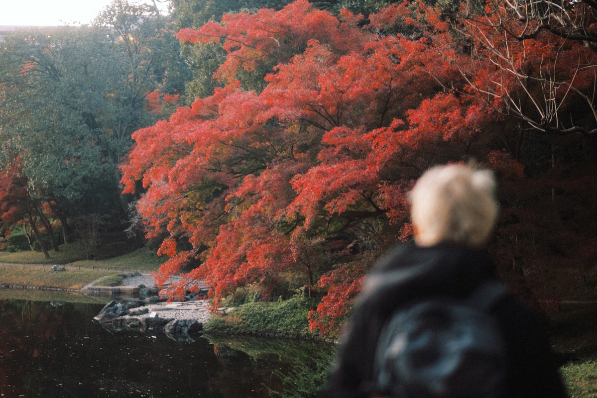 catzcrewz's tweet image. ช่วงนี้ชอบการถ่ายรูปแบบหน้าเบลอหลังชัด
ลองไปถ่ายกันดูนะ มันจะให้อารมณ์ภาพอีกแบบเลย