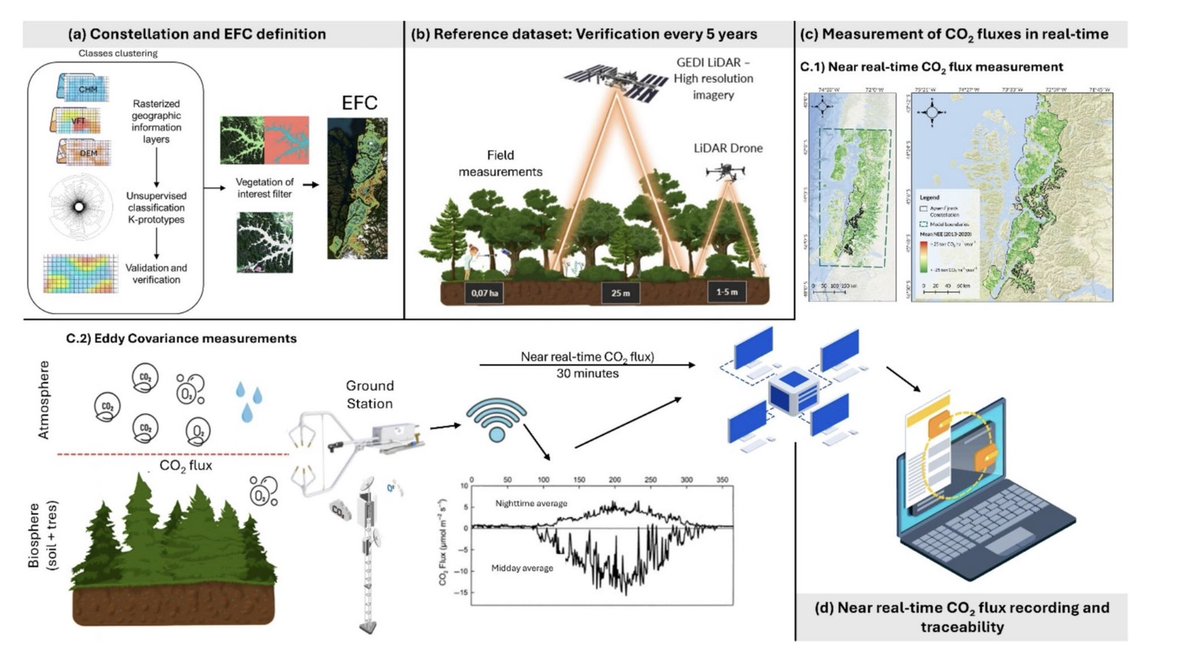 Jorge Perez-Quezada tweet media