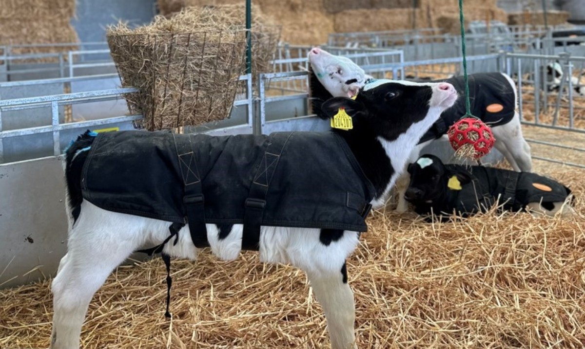 Uni of Reading tweet media