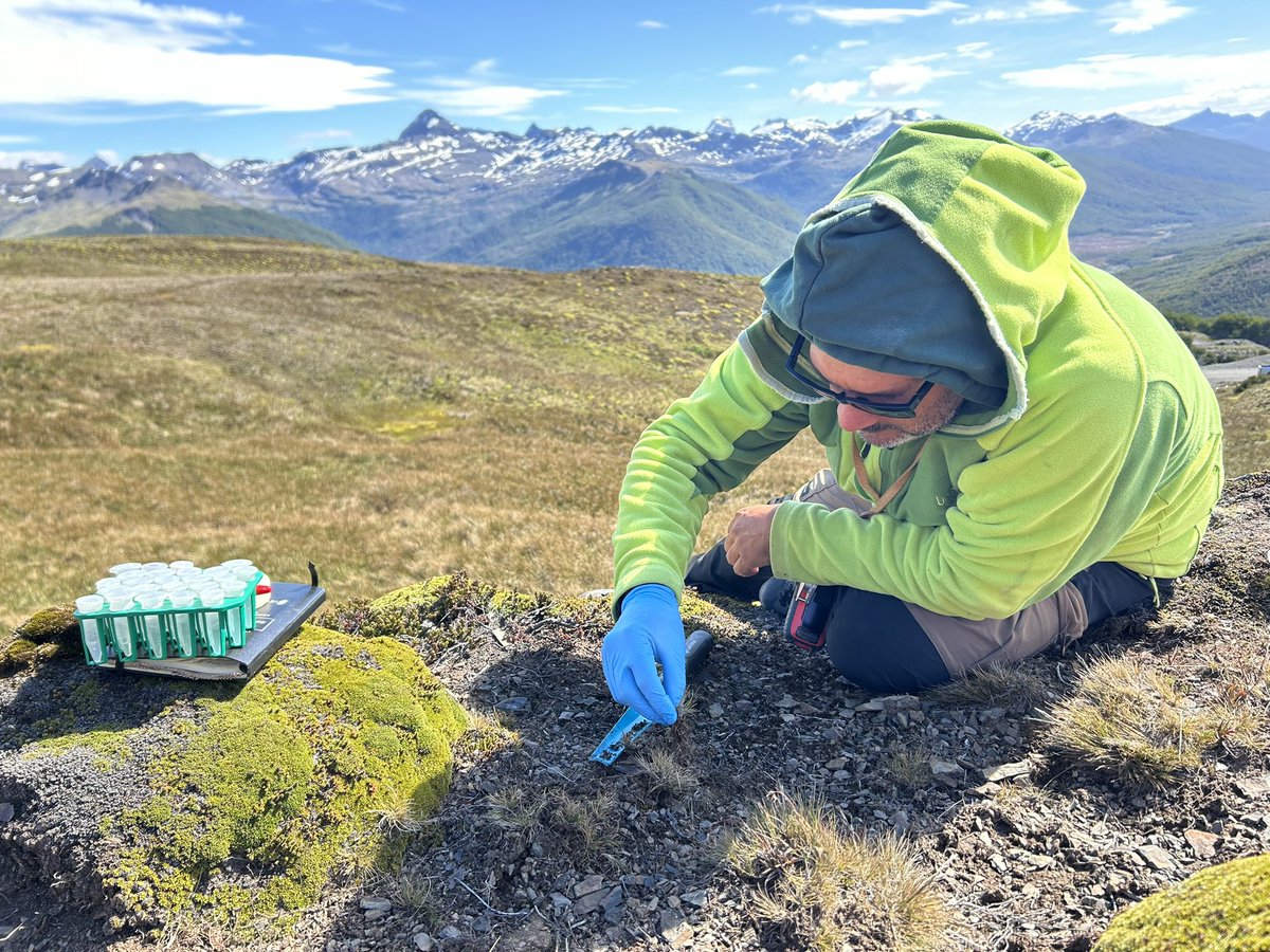 Instituto Milenio BASE tweet media