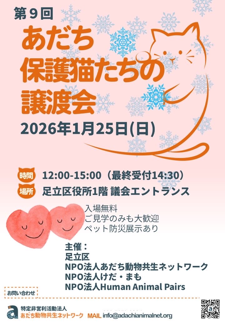 shosukereiko's tweet photo. ペットショップではなく保護猫を家族に迎えるという選択があります！
1月25日足立区役所譲渡会でお待ちしてます😊 https://t.co/QyonEl2YoX