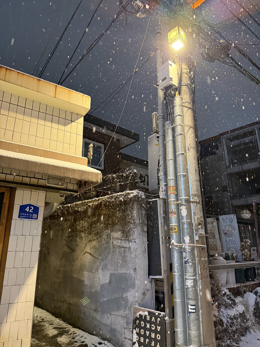 2년 만에 이렇게 많은 눈을 보다니요