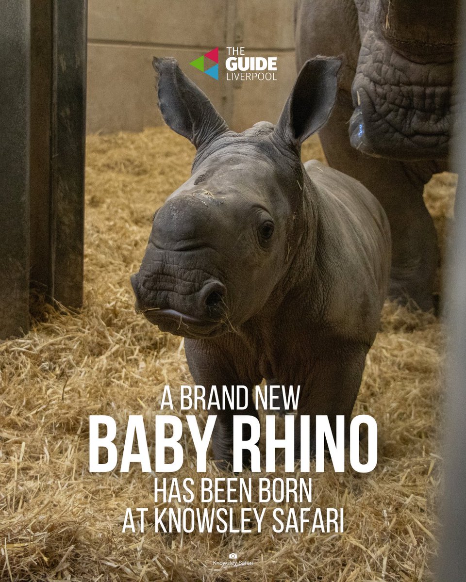 The Guide Liverpool 🌇🌃 tweet media