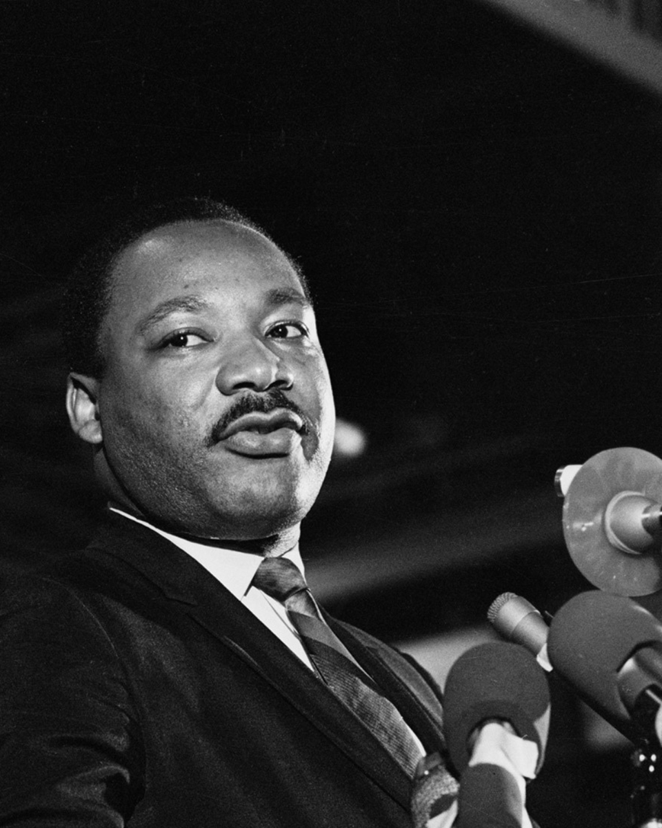 Furious Flower tweet media