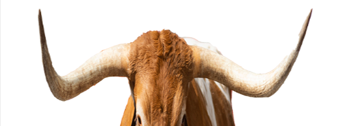 Texas Longhorns tweet media