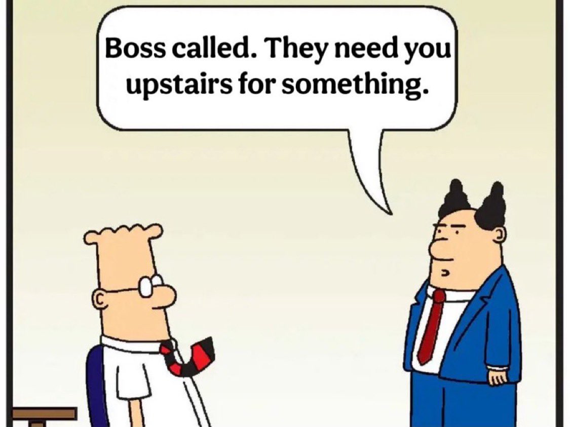 robbymayflower's tweet image. 