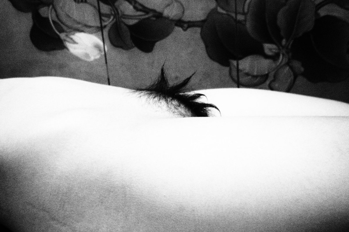 上川纯一 (@leviii2586) on Twitter photo 