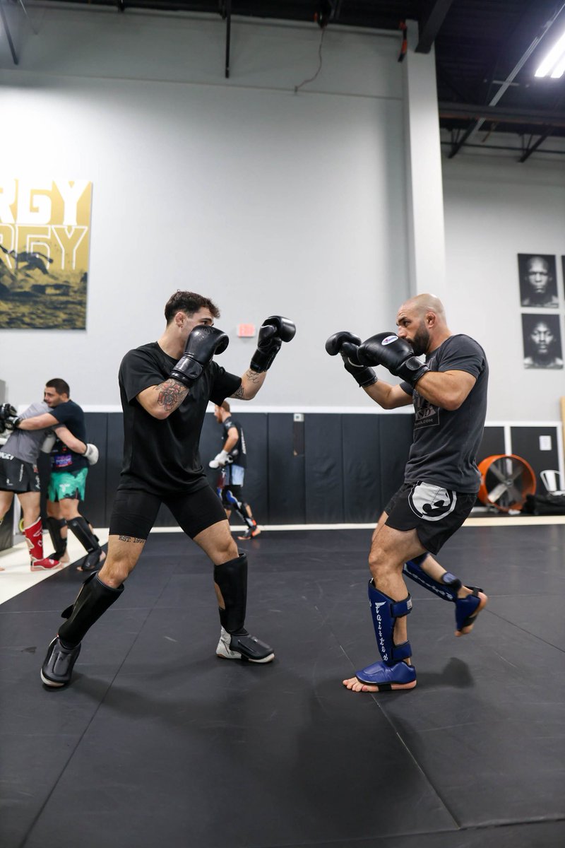 michaelblockhus's tweet image. Progress