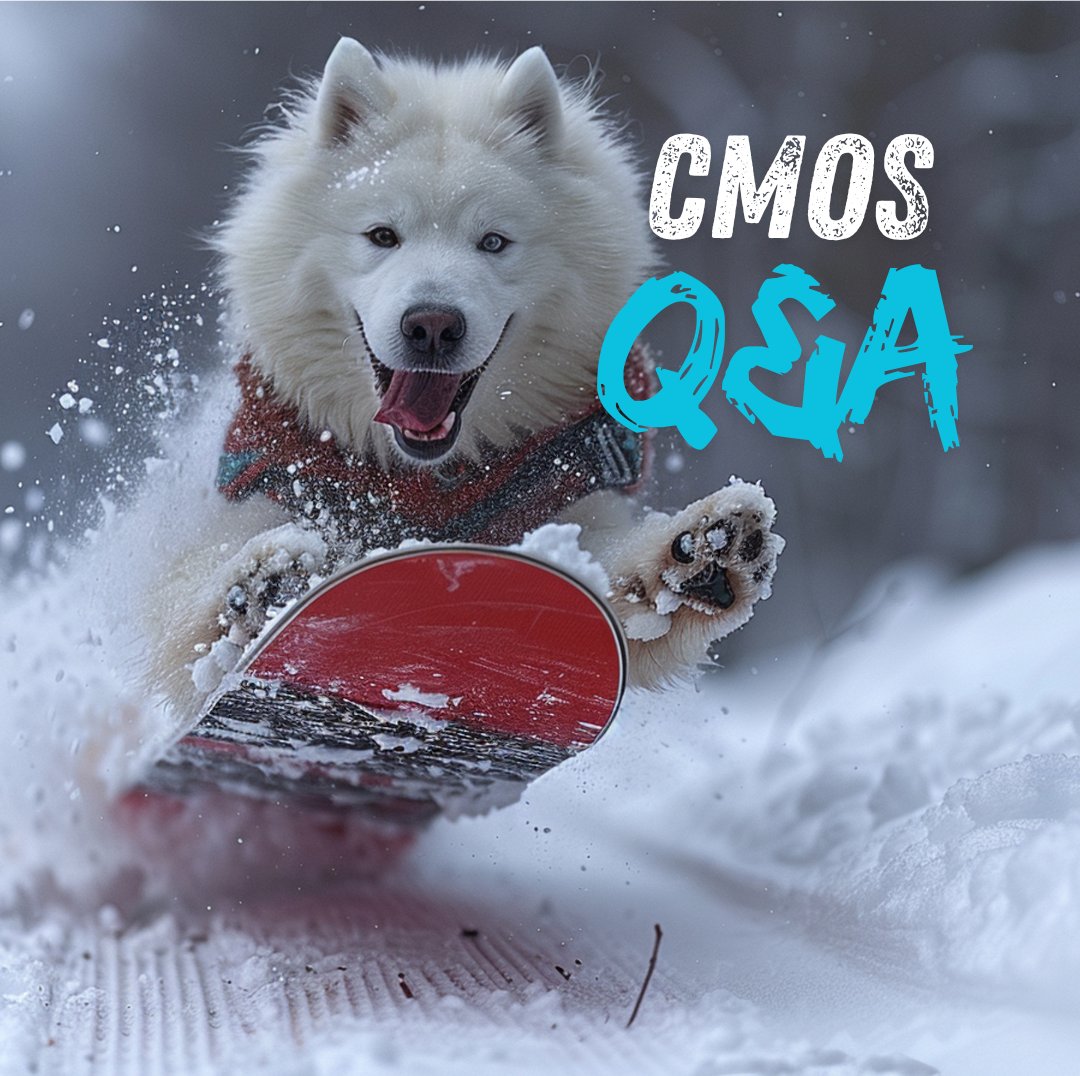 The Chicago Manual of Style tweet media